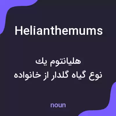 معنی helianthemums به فارسی معنی helianthemums به فارسی