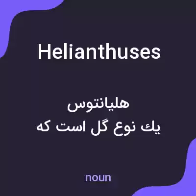 معنی helianthuses به فارسی معنی helianthuses به فارسی