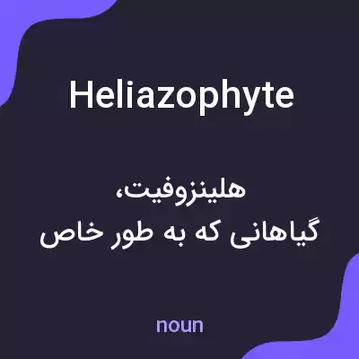 معنی heliazophyte به فارسی معنی heliazophyte به فارسی