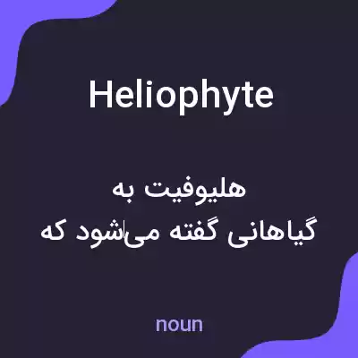 معنی heliophyte به فارسی معنی heliophyte به فارسی