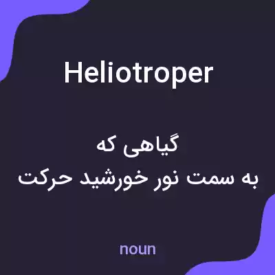 معنی heliotroper به فارسی معنی heliotroper به فارسی