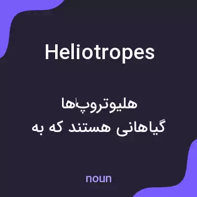 معنی heliotropes به فارسی معنی heliotropes به فارسی
