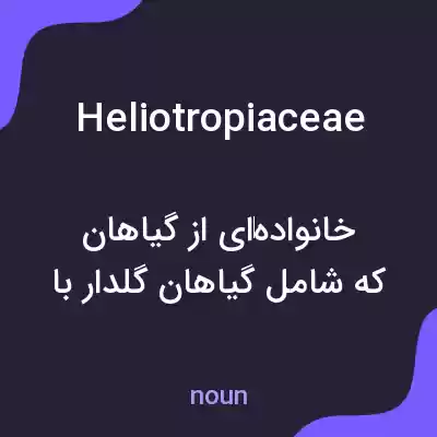معنی heliotropiaceae به فارسی معنی heliotropiaceae به فارسی