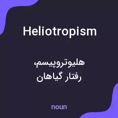 معنی heliotropism به فارسی