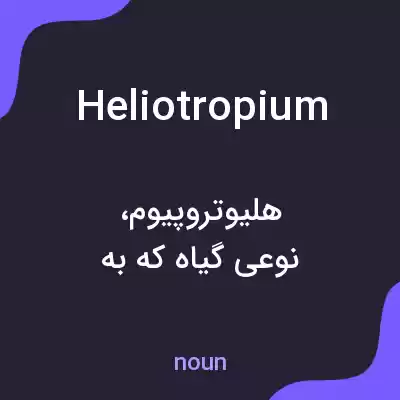 معنی heliotropium به فارسی معنی heliotropium به فارسی