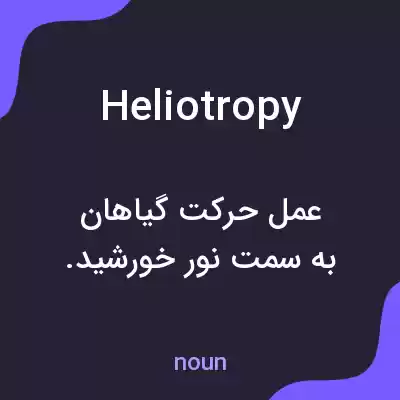 معنی heliotropy به فارسی معنی heliotropy به فارسی