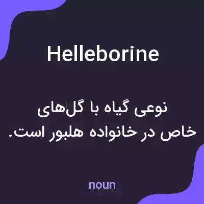 معنی helleborine به فارسی معنی helleborine به فارسی