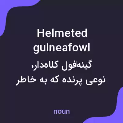 معنی helmeted guineafowl به فارسی معنی helmeted guineafowl به فارسی