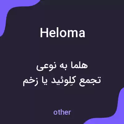معنی heloma به فارسی معنی heloma به فارسی