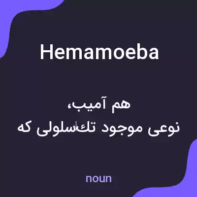 معنی hemamoeba به فارسی معنی hemamoeba به فارسی