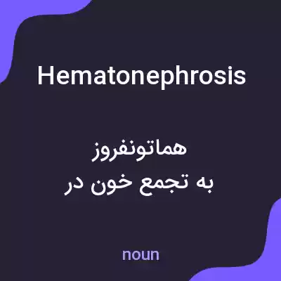 معنی hematonephrosis به فارسی معنی hematonephrosis به فارسی