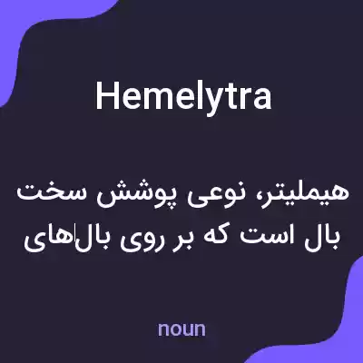 معنی hemelytra به فارسی معنی hemelytra به فارسی