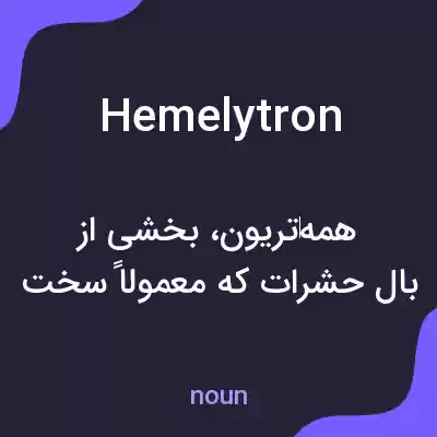 معنی hemelytron به فارسی معنی hemelytron به فارسی