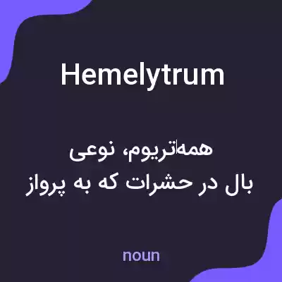 معنی hemelytrum به فارسی معنی hemelytrum به فارسی