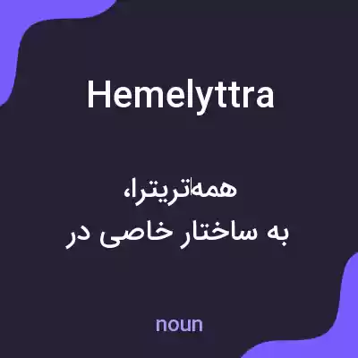 معنی hemelyttra به فارسی معنی hemelyttra به فارسی