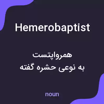 معنی hemerobaptist به فارسی معنی hemerobaptist به فارسی