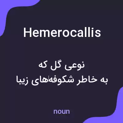 معنی hemerocallis به فارسی معنی hemerocallis به فارسی