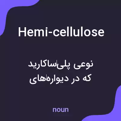 معنی hemi-cellulose به فارسی معنی hemi-cellulose به فارسی