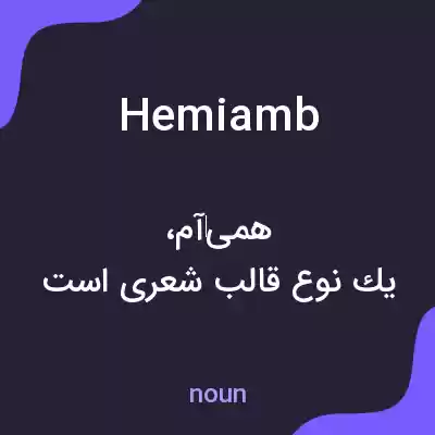 معنی hemiamb به فارسی معنی hemiamb به فارسی