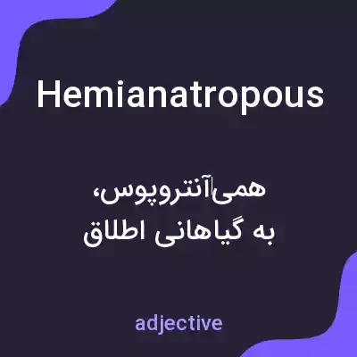 معنی hemianatropous به فارسی معنی hemianatropous به فارسی