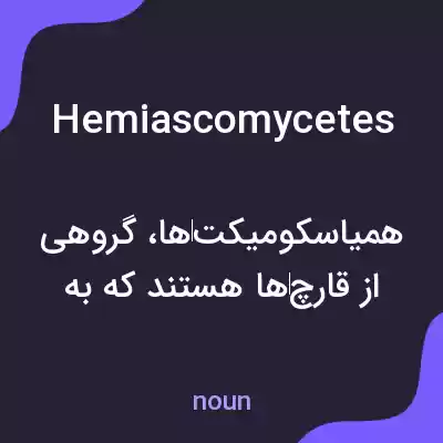 معنی hemiascomycetes به فارسی معنی hemiascomycetes به فارسی