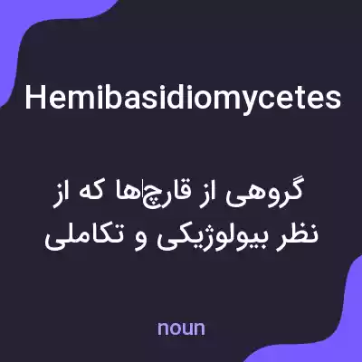 معنی hemibasidiomycetes به فارسی معنی hemibasidiomycetes به فارسی
