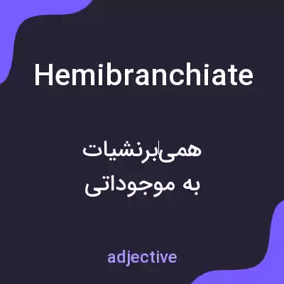 معنی hemibranchiate به فارسی معنی hemibranchiate به فارسی