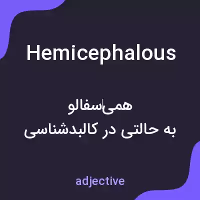 معنی hemicephalous به فارسی معنی hemicephalous به فارسی