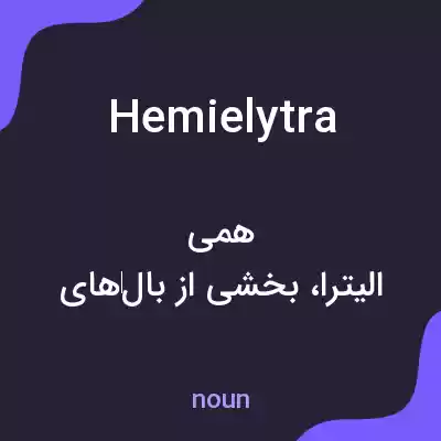 معنی hemielytra به فارسی معنی hemielytra به فارسی