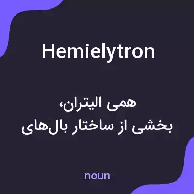 معنی hemielytron به فارسی معنی hemielytron به فارسی