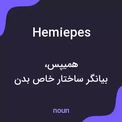 معنی hemiepes به فارسی معنی hemiepes به فارسی