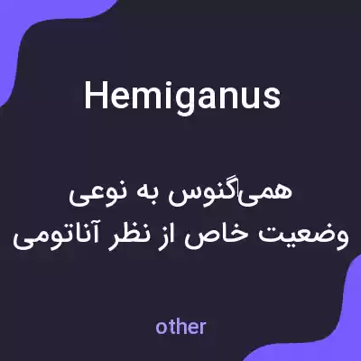 معنی hemiganus به فارسی معنی hemiganus به فارسی