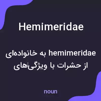 معنی hemimeridae به فارسی معنی hemimeridae به فارسی