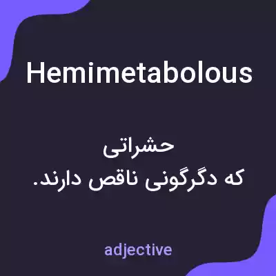 معنی hemimetabolous به فارسی معنی hemimetabolous به فارسی