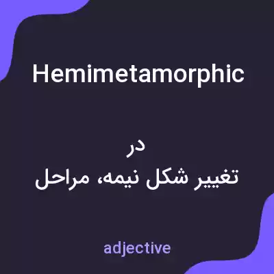 معنی hemimetamorphic به فارسی معنی hemimetamorphic به فارسی