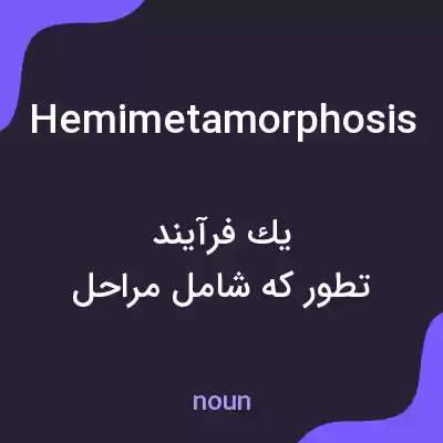 معنی hemimetamorphosis به فارسی معنی hemimetamorphosis به فارسی