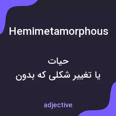معنی hemimetamorphous به فارسی معنی hemimetamorphous به فارسی