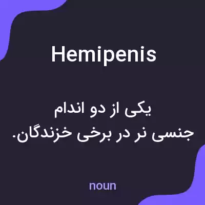 معنی hemipenis به فارسی معنی hemipenis به فارسی