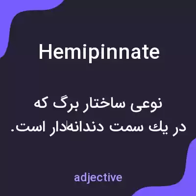 معنی hemipinnate به فارسی معنی hemipinnate به فارسی