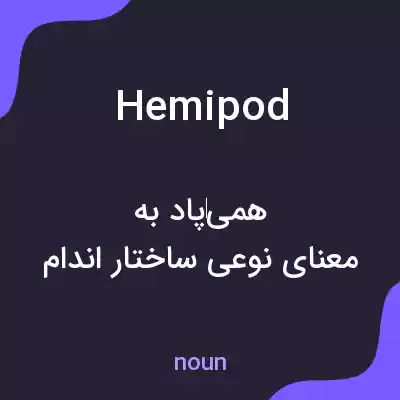 معنی hemipod به فارسی معنی hemipod به فارسی