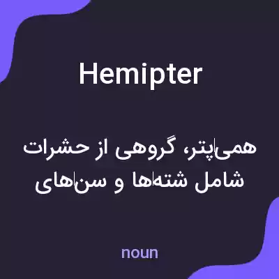 معنی hemipter به فارسی معنی hemipter به فارسی
