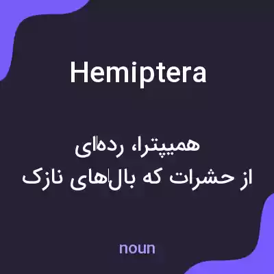 معنی hemiptera به فارسی معنی hemiptera به فارسی