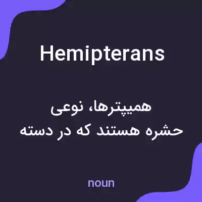 معنی hemipterans به فارسی معنی hemipterans به فارسی