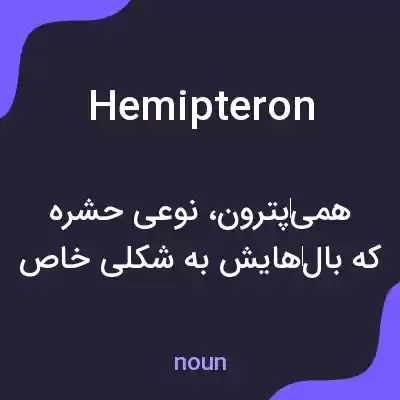 معنی hemipteron به فارسی معنی hemipteron به فارسی