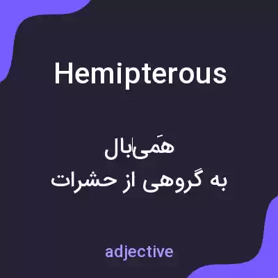 معنی hemipterous به فارسی معنی hemipterous به فارسی