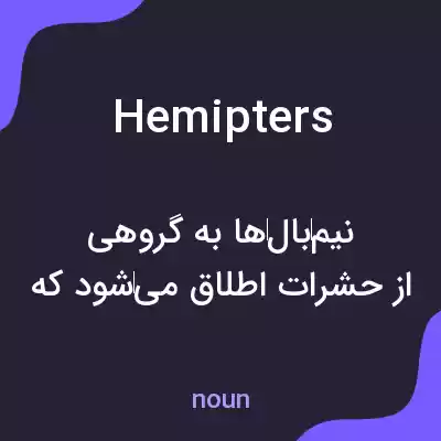 معنی hemipters به فارسی معنی hemipters به فارسی
