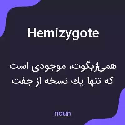 معنی hemizygote به فارسی