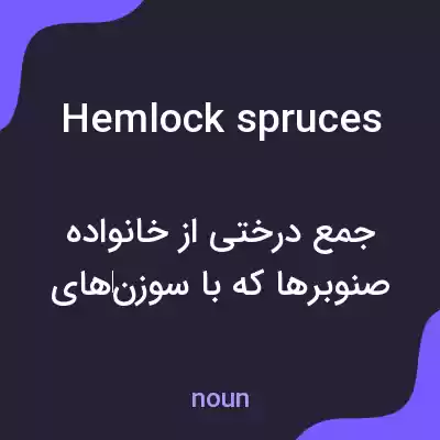 معنی hemlock spruces به فارسی معنی hemlock spruces به فارسی