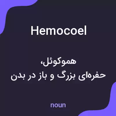 معنی hemocoel به فارسی معنی hemocoel به فارسی