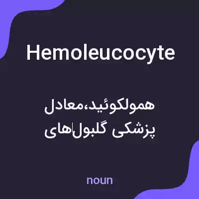معنی hemoleucocyte به فارسی معنی hemoleucocyte به فارسی